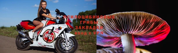 спиды Алзамай