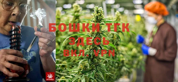 индика Алексеевка