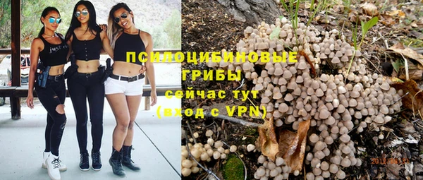 спиды Алзамай