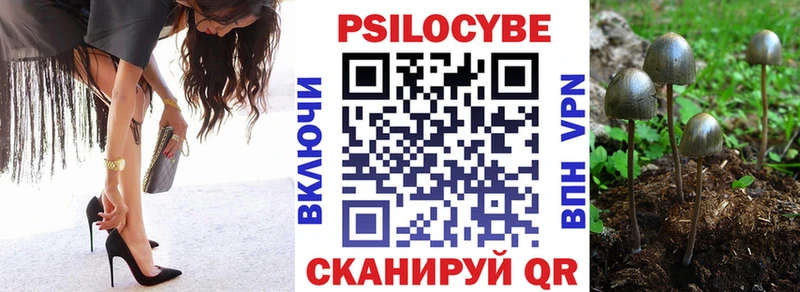 где купить   Звенигород  Псилоцибиновые грибы MAGIC MUSHROOMS 