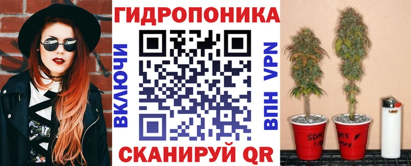 мориарти как зайти Звенигород Бошки Шишки тримм
